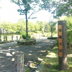 向陽公園の画像1