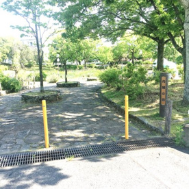 向陽公園の画像2