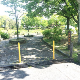 向陽公園の画像3