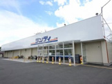 サンディ東大阪近江堂店