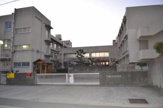 小学校 堺市立野田小学校