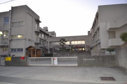 堺市立野田小学校の画像1
