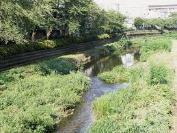 野川緑地公園の画像1
