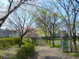 尾竹橋公園