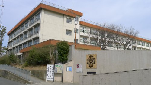 の画像