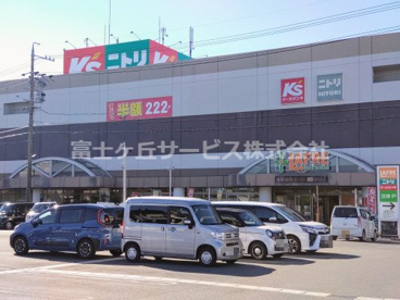 ラフレ初生の画像1
