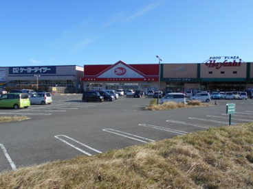 ヤックスドラッグ 睦沢店の画像1