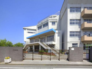 市川市立幸小学校の画像1