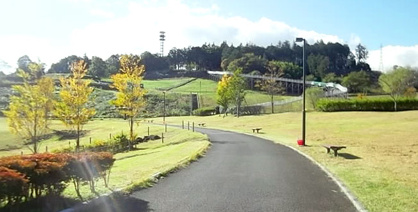県立おだわら諏訪の原公園の画像1