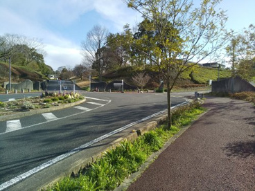 昭和の森の画像1