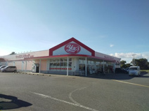 ヤックスドラッグ 白子店