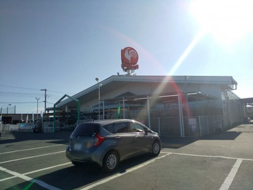 コメリ 白子店の画像1