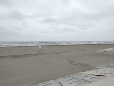真亀海水浴場の画像1