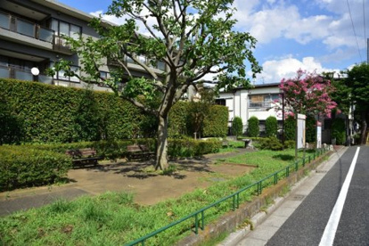 宮前あおぞら緑地の画像1