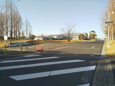 大網白里アリーナの画像2