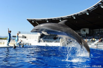 京都水族館