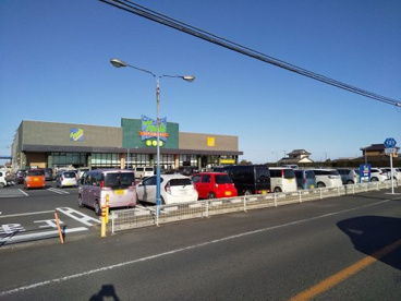 トウズ 成東店の画像1