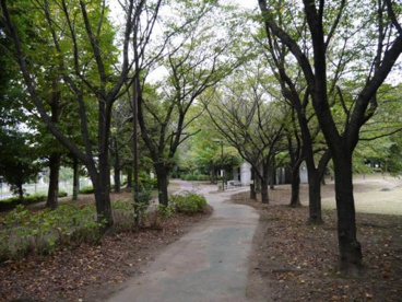 ふれあいの森公園の画像1