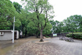 唐池公園