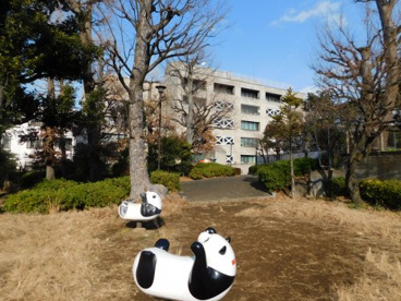 くぬぎ公園の画像2