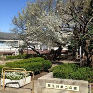 公園 世田谷区立東玉川第2児童遊園