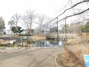 文庫の森の画像1