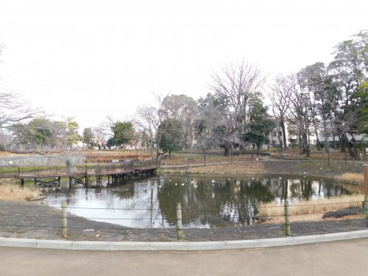 文庫の森の画像4