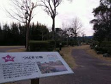 つばき公園