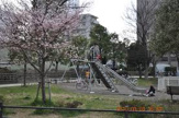 足立区中央公園