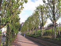江坂公園