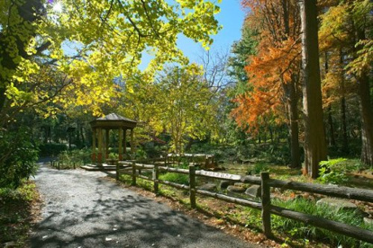 林試の森公園の画像1