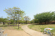 おゆみ野はるのみち公園の画像