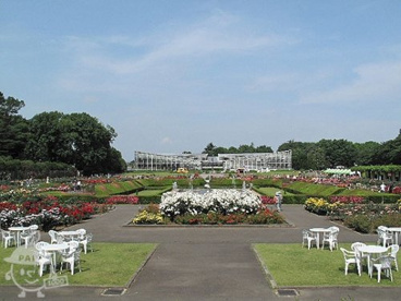 神代植物公園の画像1