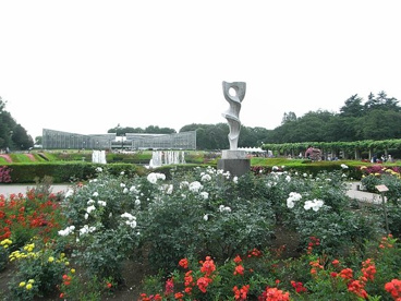 大沢雑木林公園の画像1