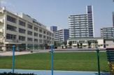 江東区立越中島小学校