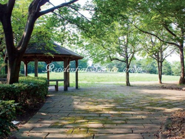 牛久保公園の画像1