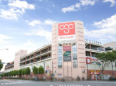 オリンピック港北ニュータウン店