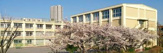 小学校 葛飾区立金町小学校