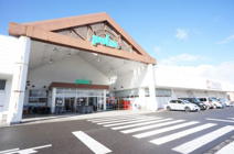 にいつフードセンター パルス店