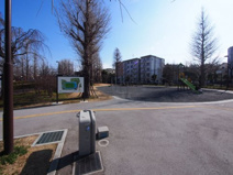 いちょう広場