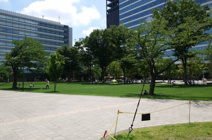 中野四季の森公園(中野セントラルパーク)