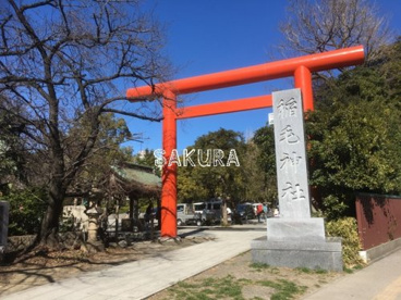 稲毛神社の画像1
