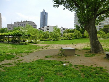檜町公園の画像1