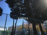 横浜市立大口台小学校