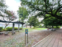 こぐれの森緑地