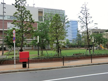 プラタナス公園の画像1
