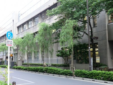 中央区立京橋築地小学校の画像1