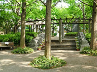 桑田記念児童遊園の画像1