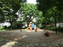 公園 高松くすのき公園