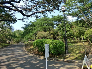 国会前庭の画像1